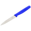 Nóż kuchenny Victorinox Standard Paring Blue 10 cm
