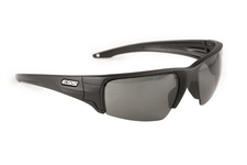 Okulary ochronne ESS Crowbar Silver Logo Kit