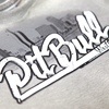 Bluza Pit Bull San Diego Dog - Szara