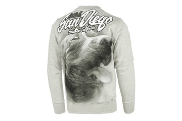 Bluza Pit Bull San Diego Dog - Szara