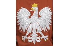 koszulka dziecięca Surge Godło Polski