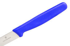 Nóż kuchenny Victorinox Standard Paring Blue 10 cm