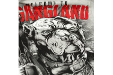 Koszulka Pit Bull Welcome To Gangland 17 - Szara