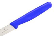 Nóż kuchenny Victorinox Standard Paring Blue 8 cm