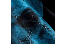 Bluza Pit Bull Blue Eyed Devil IX - Czarna
