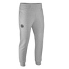 Spodnie dresowe Pit Bull Jogging Pants Logo Aladdin Grey