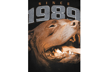 Koszulka Pit Bull Fighter '21 - Czarna