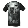 Koszulka Pit Bull California Dog Black