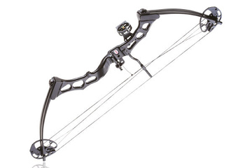 Łuk bloczkowy Poe Lang Axis Titanium 30-70 LB