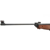 wiatrówka - karabinek Norica Shooter 4,5mm