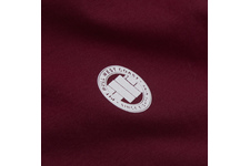 Koszulka Pit Bull Small Logo - Bordowa
