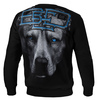 Bluza Pit Bull Blue Eyed Devil - Czarna