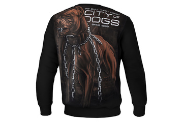 Bluza Pit Bull City Of Dogs 18 - Czarna