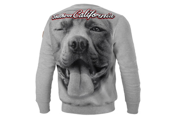 Bluza Pit Bull So Cal - Szara