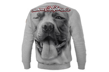 Bluza Pit Bull So Cal - Szara