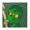 Koszulka dziecięca z długim rękawem Zielony Ninja LEGO WEAR Ninjago