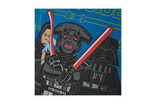 Koszulka dziecięca z długim rękawem Dark Side LEGO WEAR Star Wars