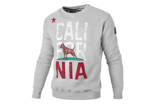 Bluza Pit Bull California Flag - Szara