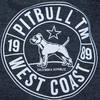 Czapka Pit Bull Cal Flag - Grafitowa