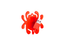 Pendrive Spyderco 2 GB Bug czerwony