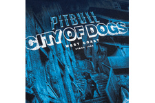 Koszulka Pit Bull City Of Dogs - Granatowa