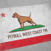 Koszulka Pit Bull Vintage Flag  - Szara