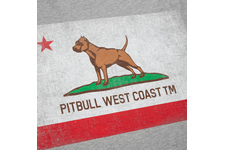 Koszulka Pit Bull Vintage Flag  - Szara