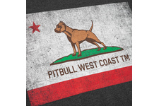 Koszulka Pit Bull Vintage Flag  - Grafitowa