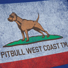 Koszulka Pit Bull Vintage Flag  - Niebieska