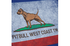 Koszulka Pit Bull Vintage Flag  - Niebieska