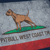 Koszulka Pit Bull Vintage Flag  - Granatowa