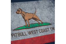 Koszulka Pit Bull Vintage Flag  - Granatowa