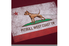 Koszulka Pit Bull Vintage Flag  - Bordowa