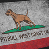 Koszulka Pit Bull Vintage Flag  - Czarna