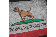 Koszulka Pit Bull Vintage Flag  - Czarna