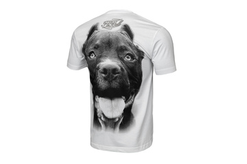 Koszulka Pit Bull Pitbull IR - Biała