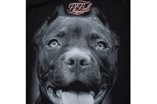 Koszulka z długim rękawem Pit Bull Pitbull IR  - Czarna