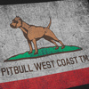 Koszulka z długim rękawem Pit Bull Vintage Flag - Czarna