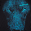 Koszulka damska Pit Bull Classic Blue Eyed Devil - Czarna