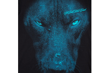 Koszulka damska Pit Bull Classic Blue Eyed Devil - Czarna