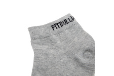 Skarpetki Pit Bull Low Ankle cienkie (3-pak) - Szare