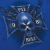 Koszulka Pit Bull Skull Wings - Niebieska