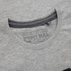 Koszulka z długim rękawem Pit Bull Classic Logo'20 - Szara