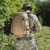 plecak Direct Action Dragon Egg Mk II 25l - multicam