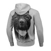 Bluza z kapturem Pit Bull Pitbull IR - Szara