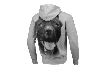 Bluza z kapturem Pit Bull Pitbull IR - Szara