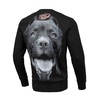 Bluza Pit Bull Pitbull IR - Czarna