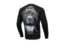 Bluza Pit Bull Pitbull IR - Czarna