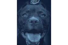 Bluza Pit Bull Pitbull IR - Granatowa