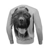 Bluza Pit Bull Pitbull IR - Szara